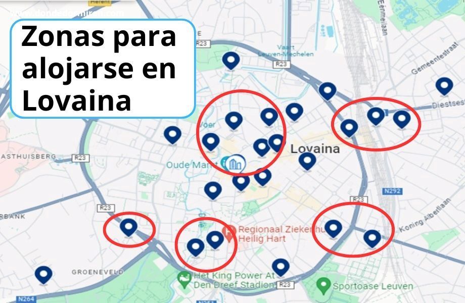Dónde Alojarse en Lovaina, Bélgica: guía práctica