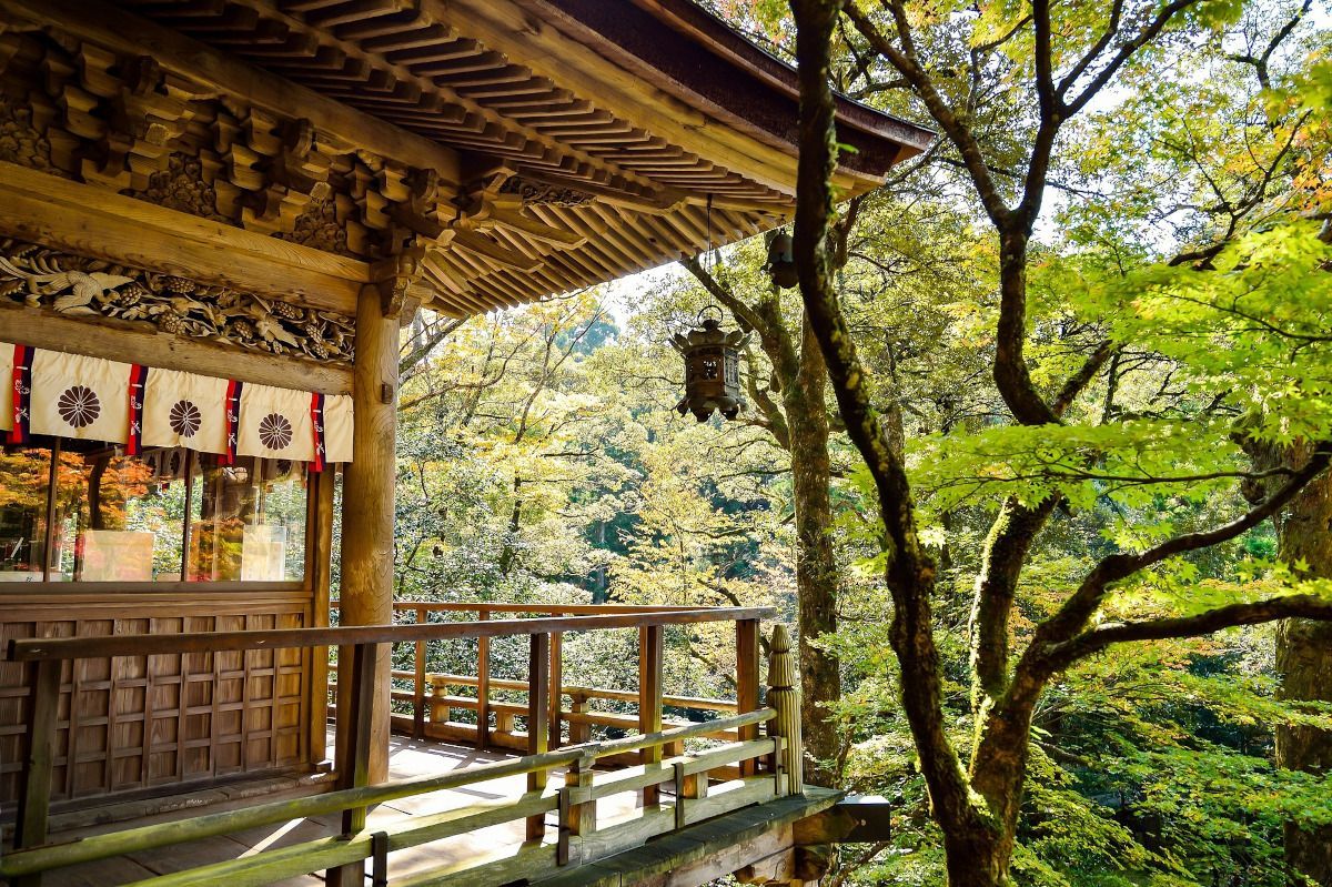 ¿Cuánto cuesta un hotel en Japón? Según la categoría y la temporada