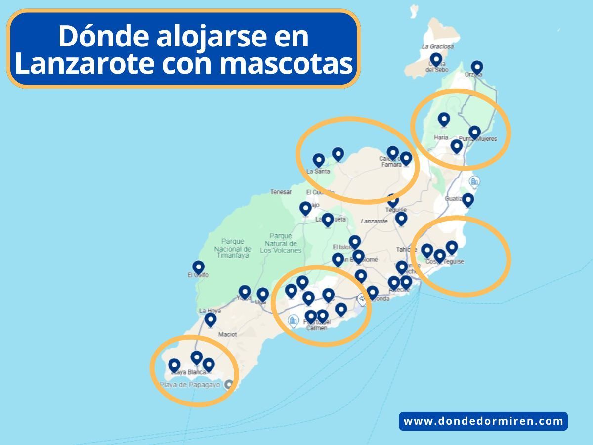 Mejores Hoteles pet friendly en Lanzarote dónde aceptan mascotas