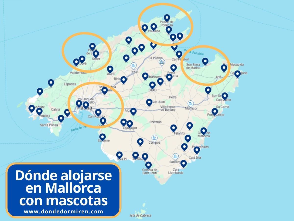 Mejores Hoteles pet friendly en Mallorca: dónde alojarse con mascota