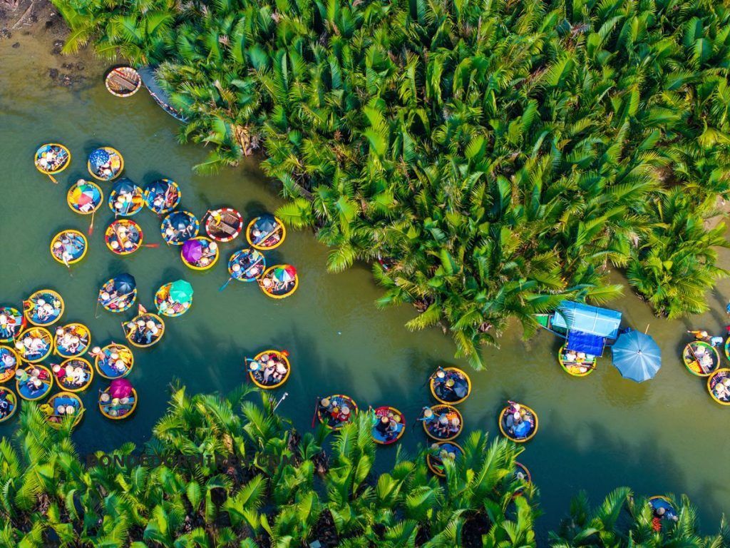 Bosque de cocoteros de agua en Cam Thanh, Hoi An, zona de arrozales y homestays